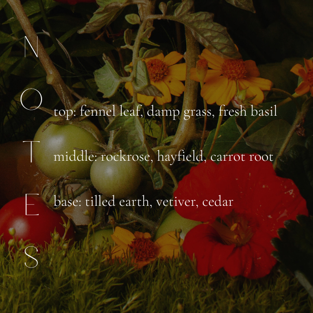 HERBARIUM CANDLE-gallery-40819698368674