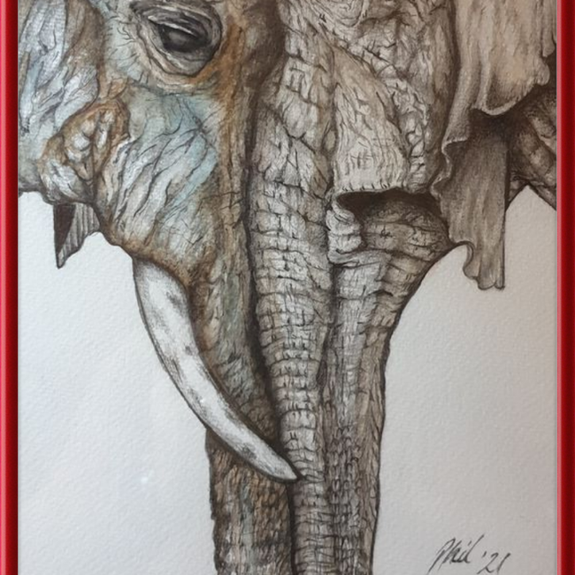 Mother and Child Elephants-gallery-49450444488995