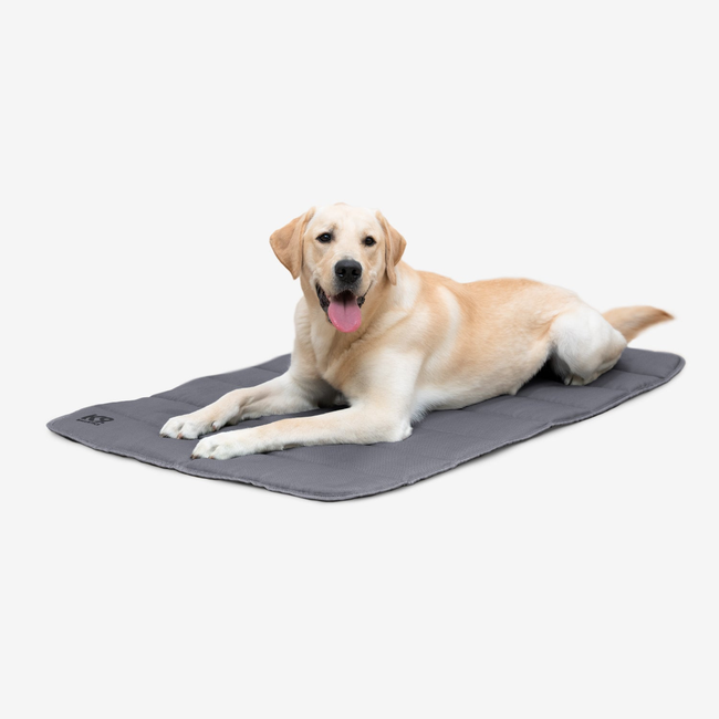 Tough Ripstop™ Dog Travel Mat-gallery-37442299396235