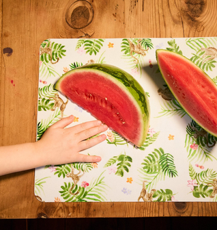 Placemat | Monkey Maze