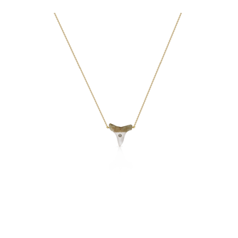 14k Sharks Tooth Dainty Necklace