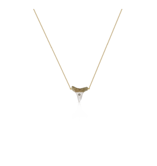 14k Sharks Tooth Dainty Necklace