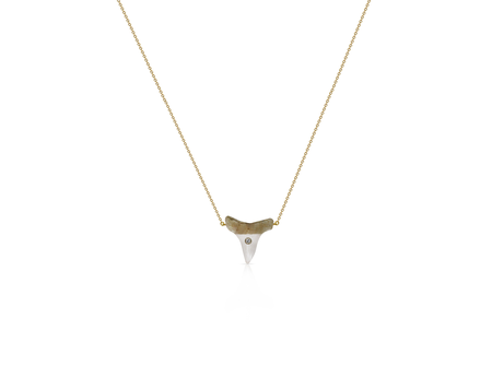14k Sharks Tooth Dainty Necklace