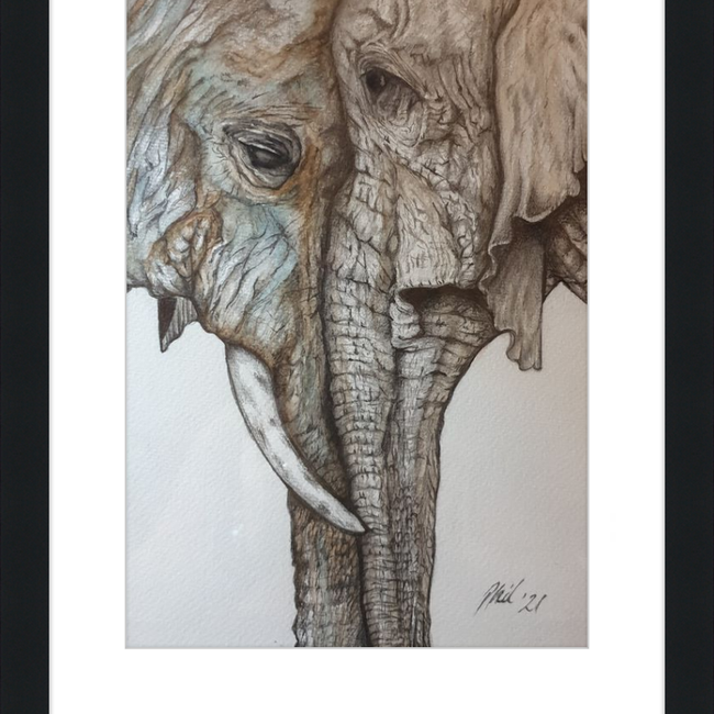 Mother and Child Elephants-gallery-49450441244963