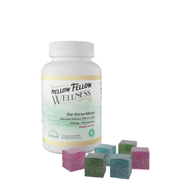 The Focus Blend - 600mg - Tropic Medley-gallery-37604604543182
