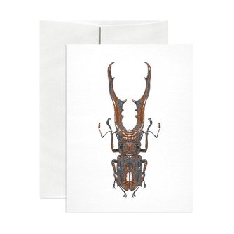 Orizaba Moth Card