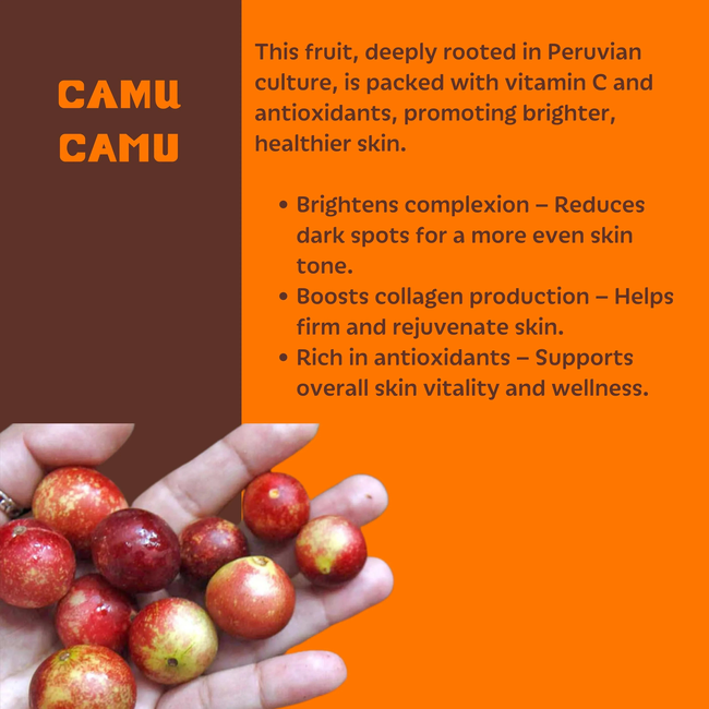 Setú® Vitamin C Serum with Camu Camu & Zarzaparrilla | Brightening Treatment-gallery-62976785023263
