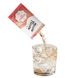 Delta 9 + CBD & CBG Mixers 10pc - Watermelon Dragonfruit Mint