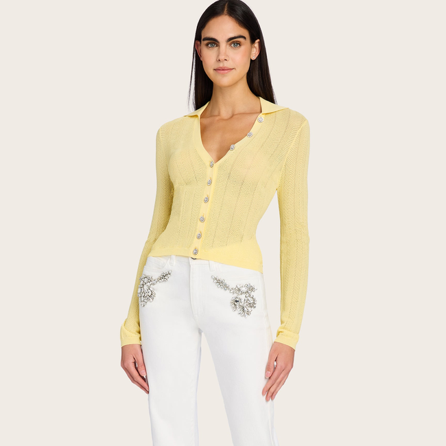 Carolyn Crystal Denim Jeans-gallery-43917797228794
