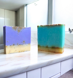 The Intuition Bundle