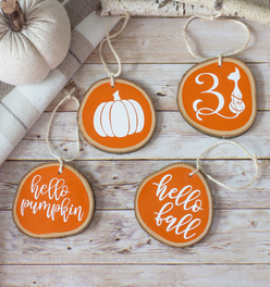 Fall Decor Ornaments Set of 4 - Tiered Tray Decor Halloween Fall Thanksgiving - Orange White Wood Sl