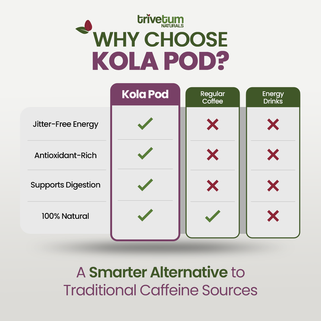 KOLA POD-gallery-49483037638944
