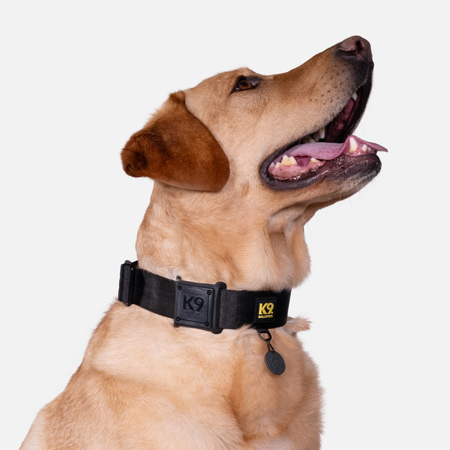 K9 Pro™ Dog Collar AirTag Holder Kit-gallery-35790692515979