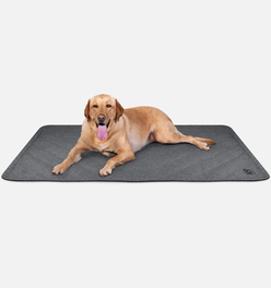Tough Ripstop™ Dog Blanket