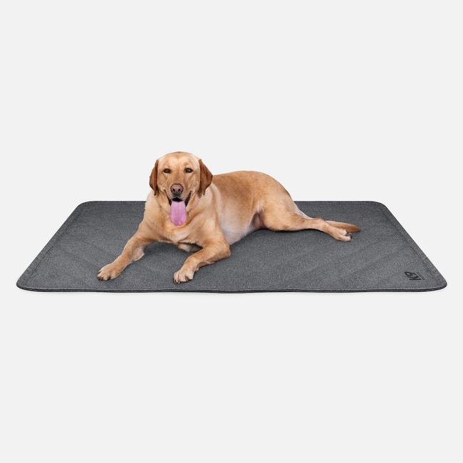 Tough Ripstop™ Dog Blanket-gallery-39483829125259