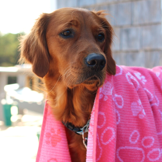 Drytek Pet Towels-gallery-59157252505885