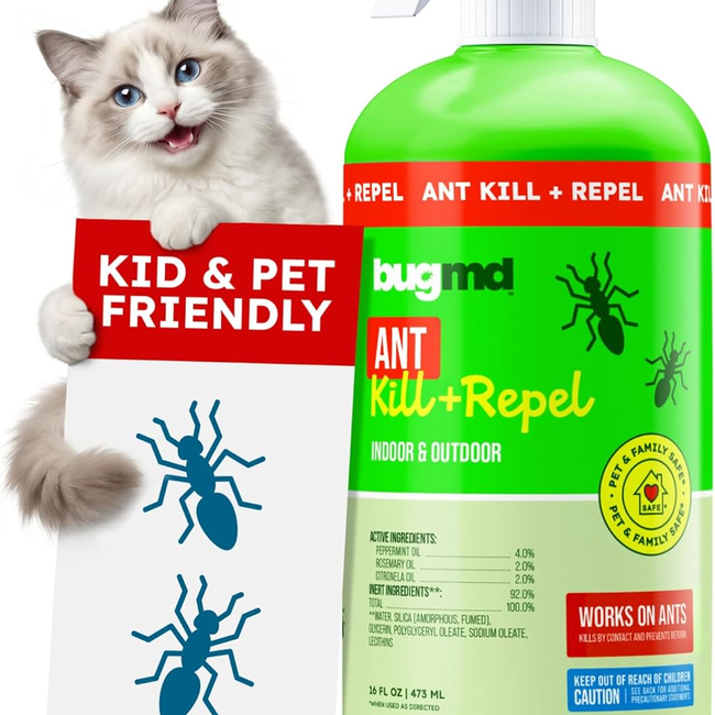 71EzARZMbAL._AC_SL1500_.jpg