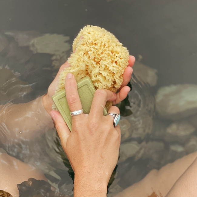 NATURAL SEA SPONGE-gallery-43271604764834