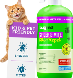 BugMD Pet Safe Spider Repellent Indoor & Outdoor Spray