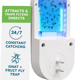 BugMD No Buzz Zone Fruit Fly Traps