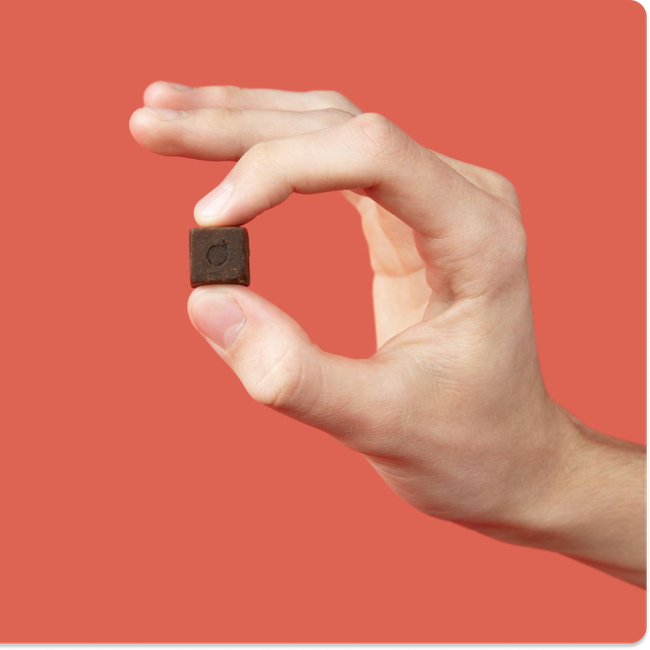 Attention Chews-gallery-39498332733693