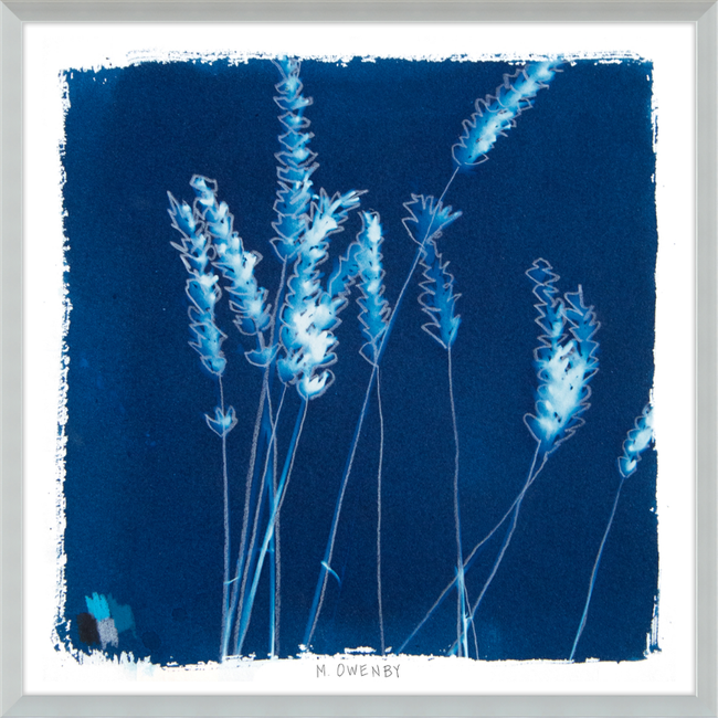Lavender-gallery-48954378191139