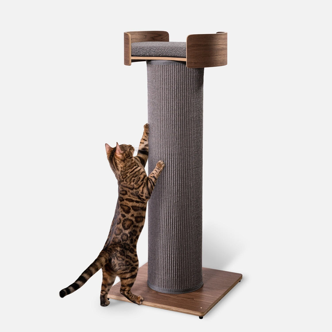 Giant Scratching Tower-gallery-37848549589015