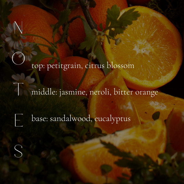 SICILIAN ORANGE BLOSSOM CANDLE-gallery-40819698237602