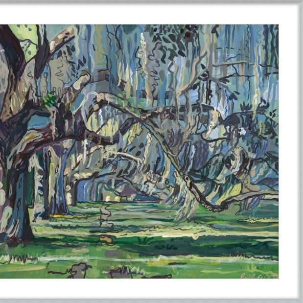 Oak Alley in Savannah, GA-gallery-49133273612579