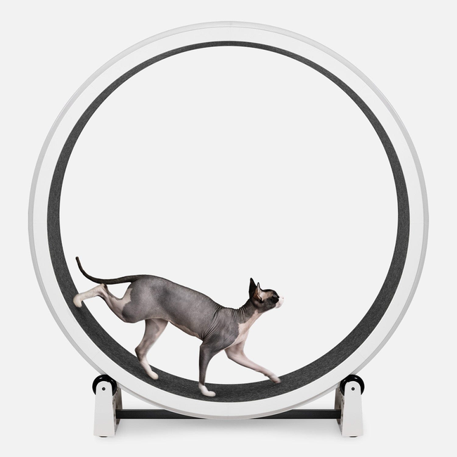 Cat Exercise Wheel-gallery-32449290502167