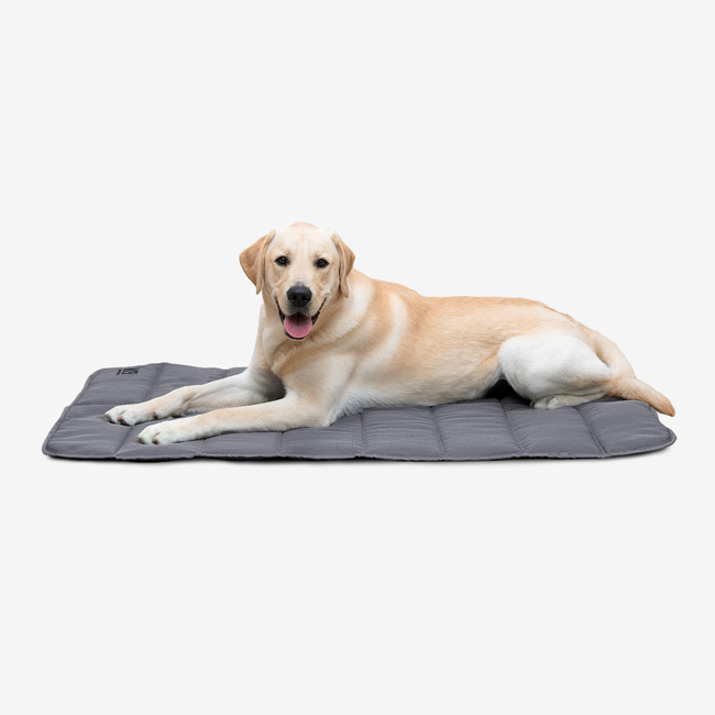 Tough Ripstop™ Dog Travel Mat-gallery-37442299461771