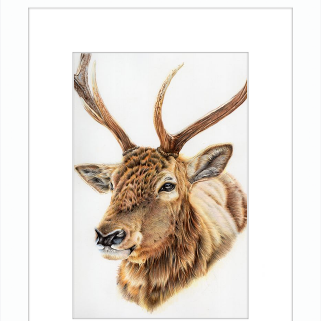 John the Deer-gallery-49475783229731