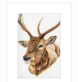 John the Deer