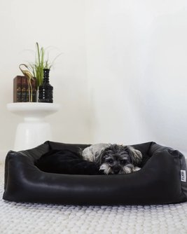 All Curled Up Black Structured Bed