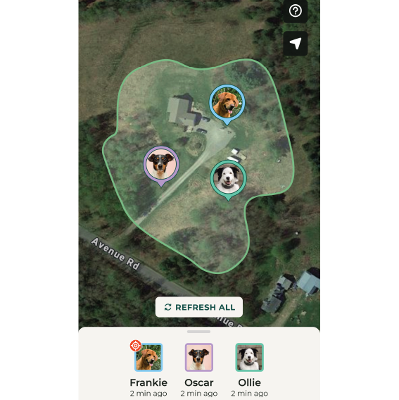 7_MultiDog (63,1x48mm) (3).png