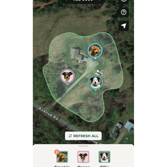 7_MultiDog (63,1x48mm) (3).png