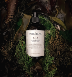 SEA PALM & CYPRESS CONDITIONER