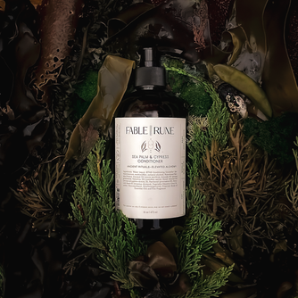 SEA PALM & CYPRESS CONDITIONER