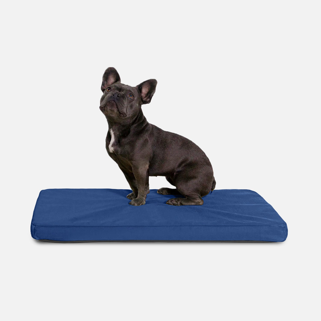 Tough Ripstop™ Orthopedic Dog Crate Bed-gallery-35524663902347