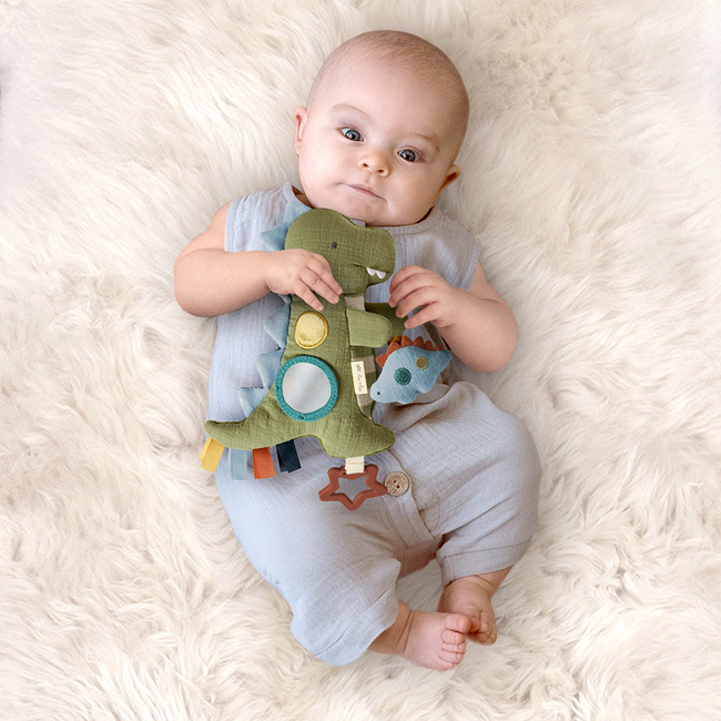 Bitzy Traveler™ Developmental Sensory Toy-gallery-37853312483499