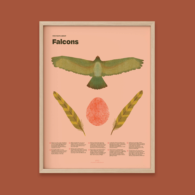 Falcon Fun Facts Print-gallery-39008512147702