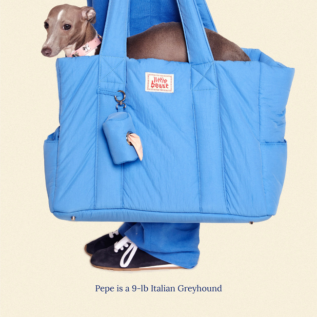 The Little Beast Carrier - Baby-gallery-46260126155038