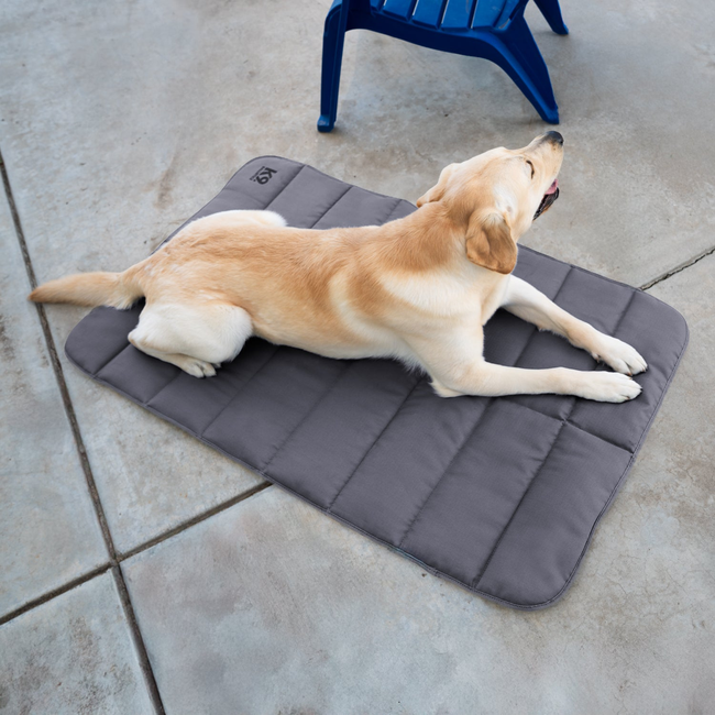 Tough Ripstop™ Dog Travel Mat-gallery-37442491416715