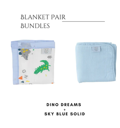 Sky Blue Solid + Dino Dreams Blanket Bundle