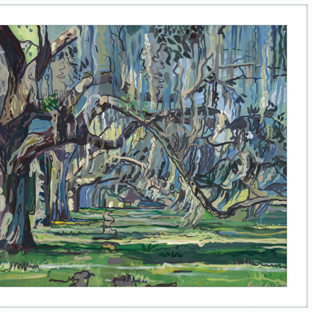 Oak Alley in Savannah, GA-gallery-49133271384355