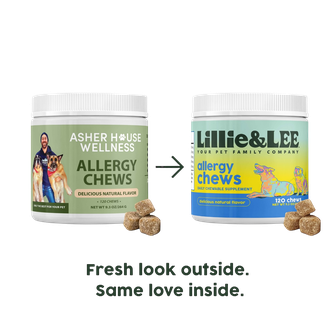 Allergy Chews | Soothe + Shield