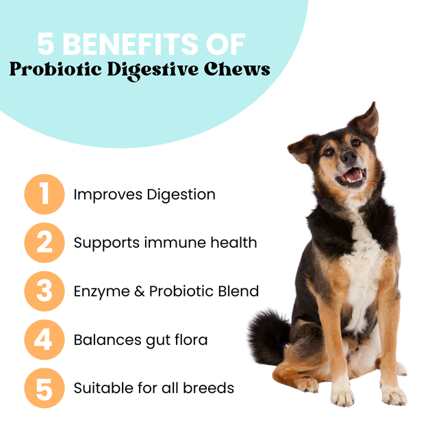 Probiotic Digestive Chews | Flora + Flourish-gallery-35118019248337