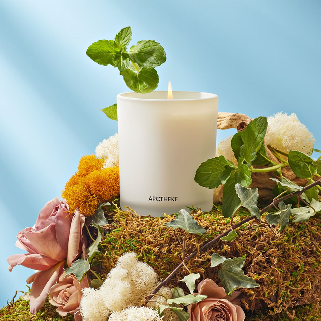 Wild Mint and Ivy Classic Candle-gallery-31742140022849