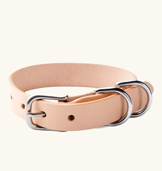 Canine Collar