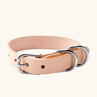 Canine Collar